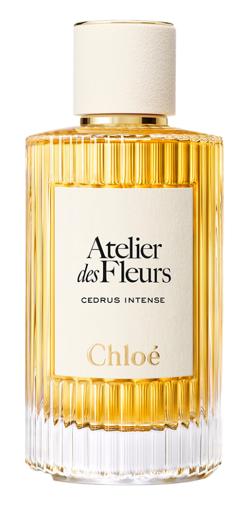 Atelier des Fleurs Cedrus Intense