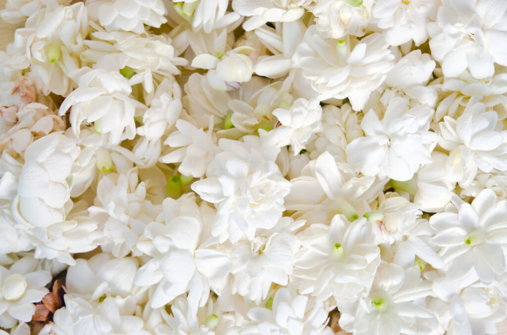 Blumen Mood Foto