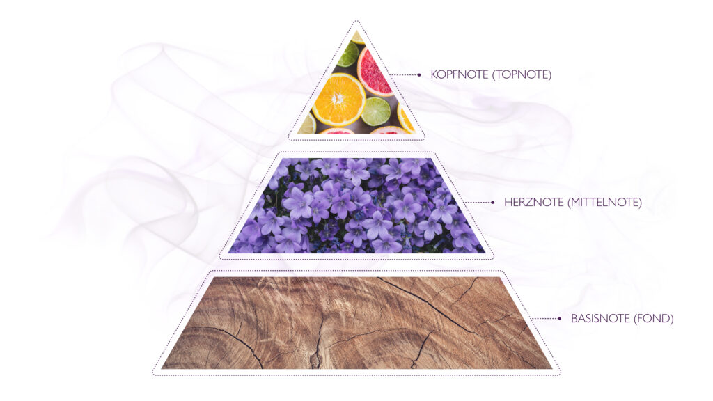 Duftpyramide Bild